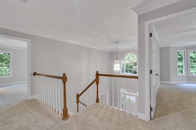 stairs featuring baseboards, crown molding, and carpet