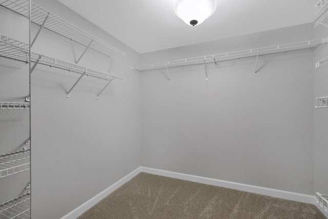 walk in closet featuring carpet
