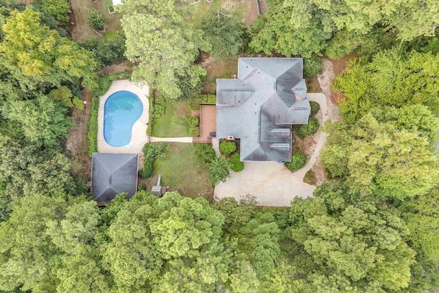 bird's eye view