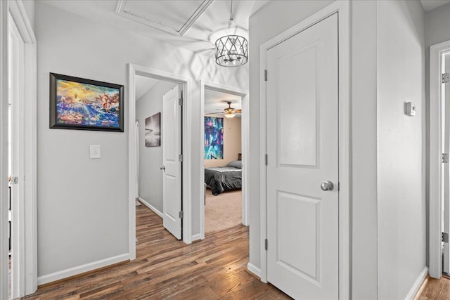 hallway featuring baseboards, attic access, and wood finished floors