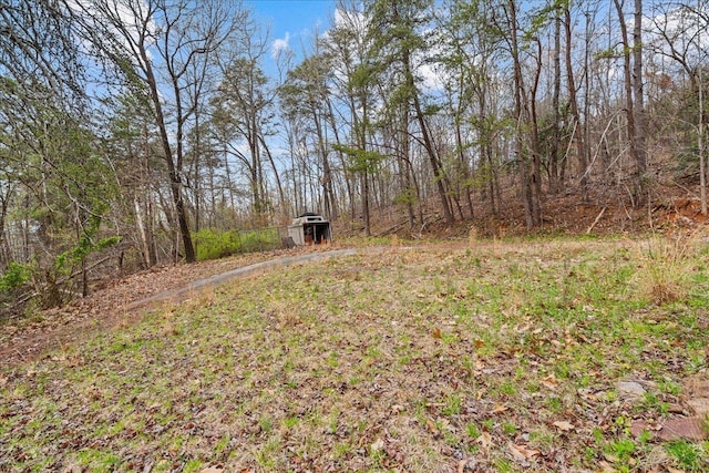 239 Phillips, Greenville, SC 29609 - view of yard featuring an outdoor structure and a wooded view
