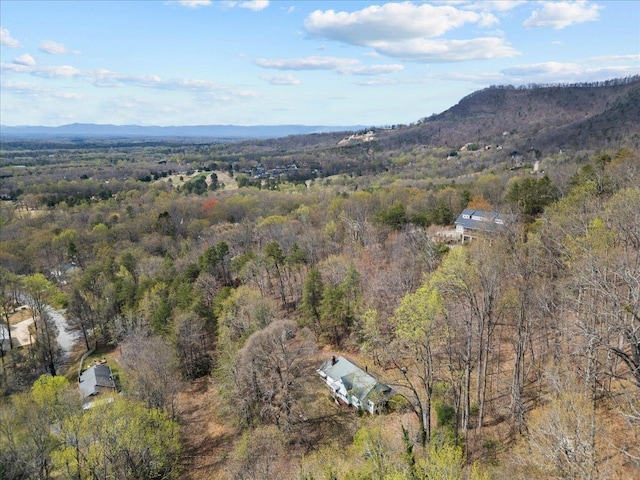 239 Phillips, Greenville, SC 29609 - drone / aerial view with a wooded view and a mountain view