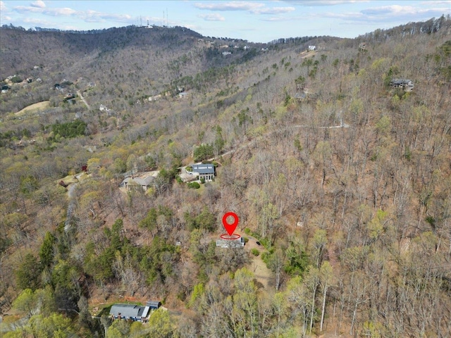 239 Phillips, Greenville, SC 29609 - birds eye view of property with a forest view and a mountain view