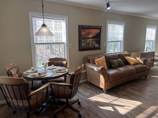dining room with plenty of natural light, crown molding, baseboards, and dark wood-type flooring