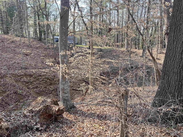view of landscape with a view of trees