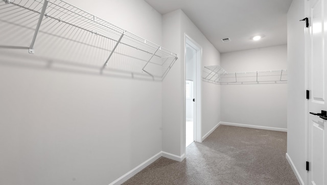 spacious closet featuring carpet floors