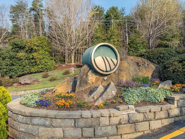 2 Park Grn, Landrum, SC 29356