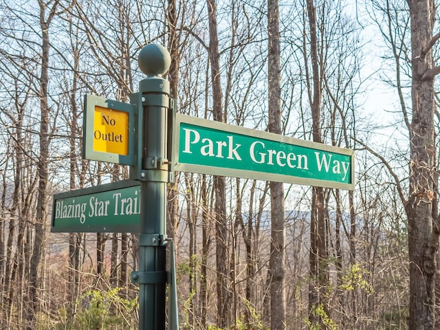 2 Park Grn, Landrum, SC 29356