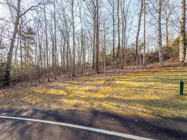 2 Park Grn, Landrum, SC 29356
