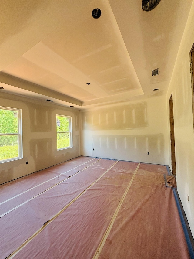 spare room featuring plenty of natural light and a tray ceiling
