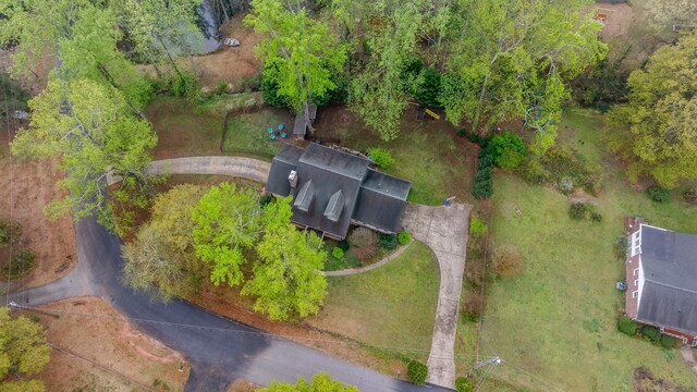 bird's eye view