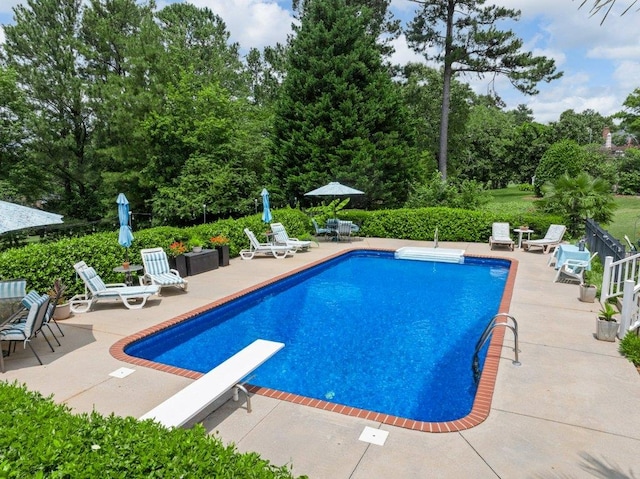 394 Old S, Duncan, SC 29334 - outdoor pool with a patio, a diving board, and view of wooded area