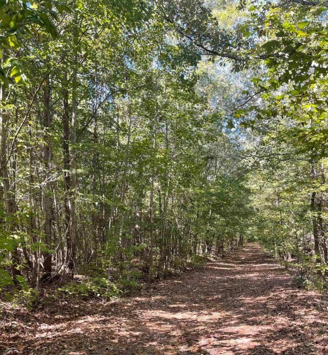 165-197 Meadow Grn, Woodruff, SC 29388