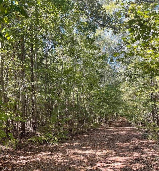 165-197 Meadow Grn, Woodruff, SC 29388