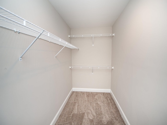 100 Winterhaven, Spartanburg, SC 29301 - spacious closet featuring carpet floors