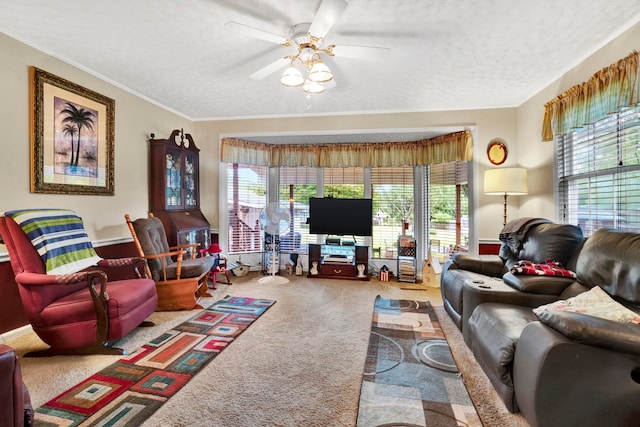 carpeted living area with ornamental molding, ceiling fan, plenty of natural light, and a textured ceiling