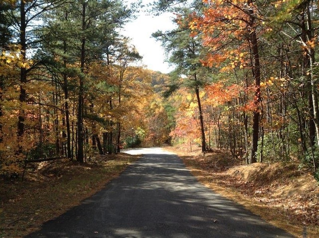0 Hidden Glory, Landrum, SC 29356