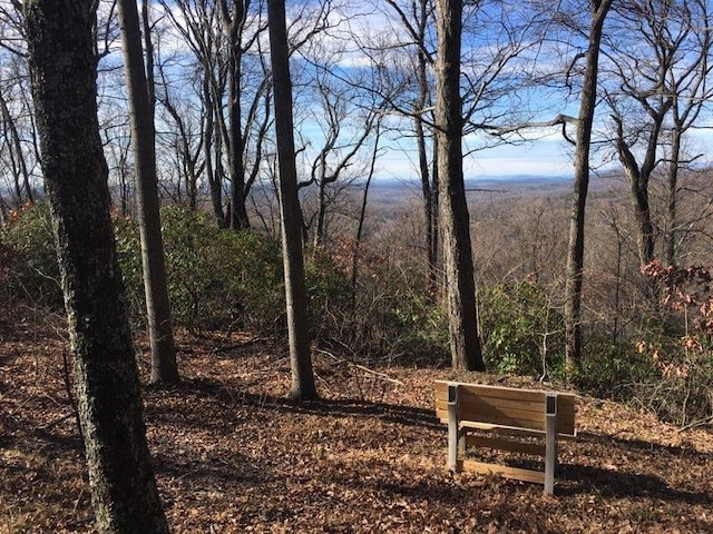 0 Hidden Glory, Landrum, SC 29356