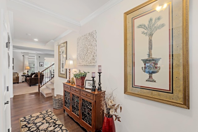 corridor with crown molding, wood finished floors, and stairs
