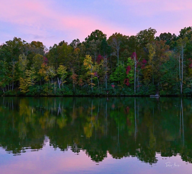 144 Lakeshore, Chesnee, SC 29323 - view of water feature with a wooded view