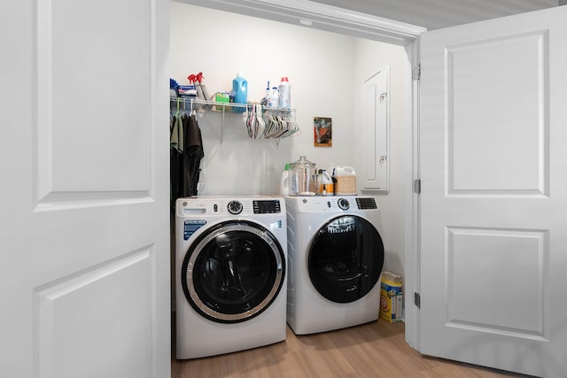 122 Aleppo, Greer, SC 29651 - laundry room with washer and clothes dryer, light wood-style floors, and laundry area
