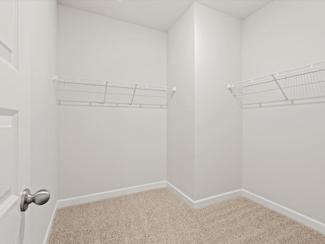 217 Merriweather, Spartanburg, SC 29301 - walk in closet with carpet