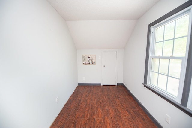 bonus room featuring vaulted ceiling and wood finished floors