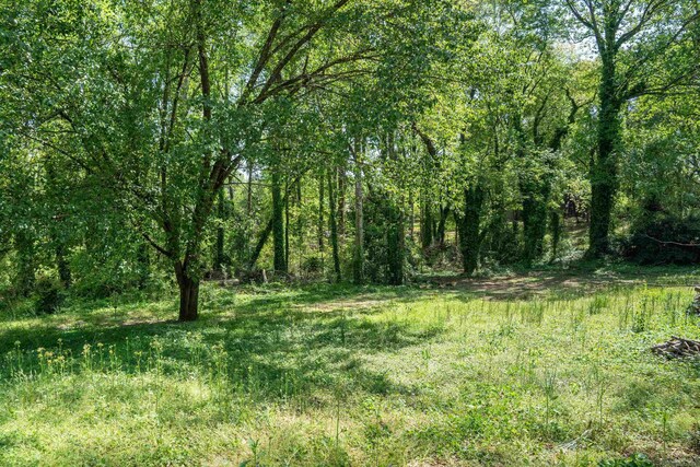 view of local wilderness featuring a wooded view