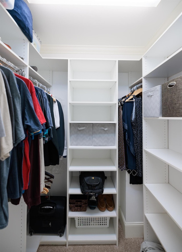 865 Westmoreland, Greer, SC 29651 - walk in closet with carpet
