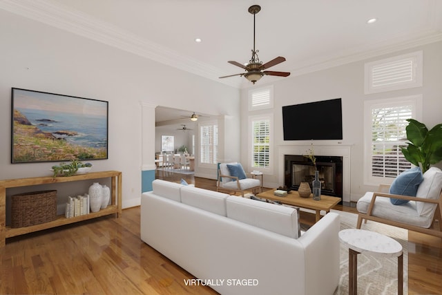6 Pepper Bush, Greer, SC 29651 - living area with light wood-type flooring, a glass covered fireplace, ceiling fan, and crown molding