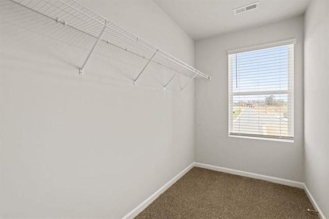 1036 Cargo, Spartanburg, SC 29306 - spacious closet with visible vents and dark carpet