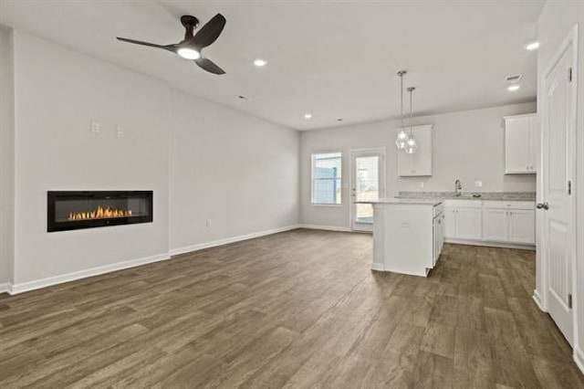 1036 Cargo, Spartanburg, SC 29306 - kitchen featuring white cabinets, open floor plan, and dark wood-style floors
