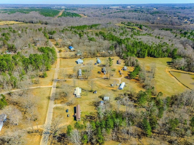 drone / aerial view