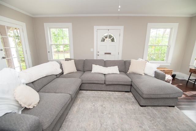 living area featuring baseboards, ornamental molding, and wood finished floors