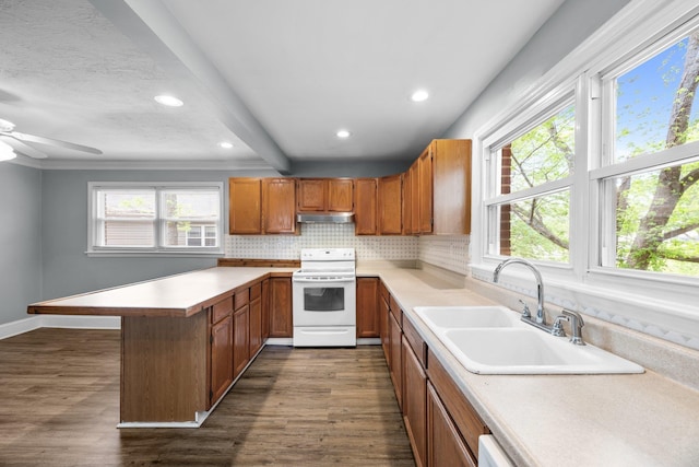 kitchen featuring under cabinet range hood, a sink, dark wood-type flooring, and white range with electric stovetop