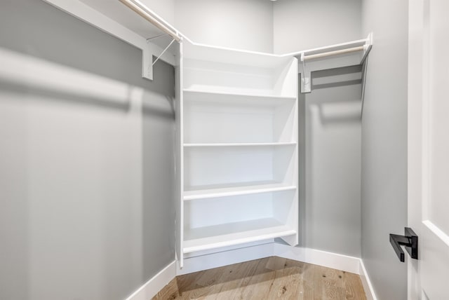 spacious closet featuring wood finished floors
