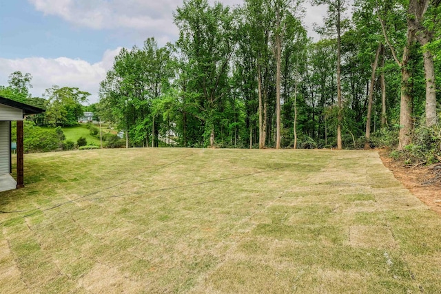 view of yard