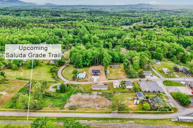 aerial view with a mountain view and a wooded view
