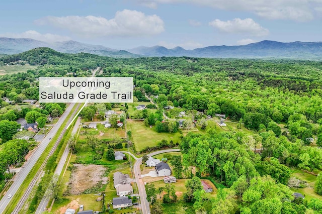 birds eye view of property with a view of trees and a mountain view