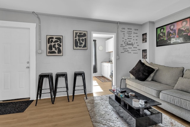 living area with ornamental molding and light wood-style flooring
