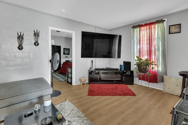 living area featuring wood finished floors and crown molding