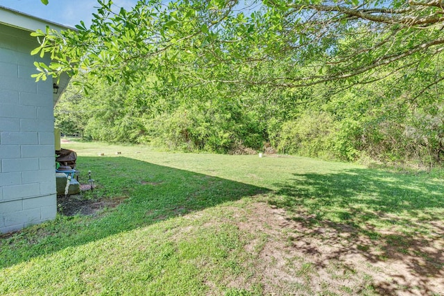 view of yard