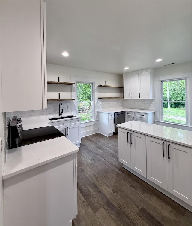 kitchen with tasteful backsplash, range with electric stovetop, open shelves, and a sink