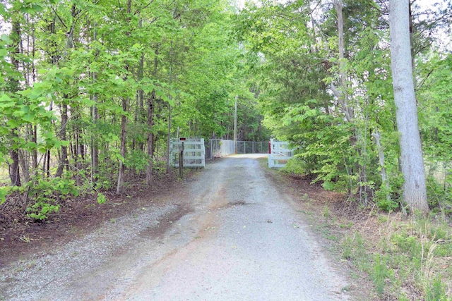 view of road featuring a gate and driveway