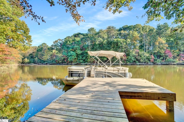 view of dock featuring a water view and a view of trees