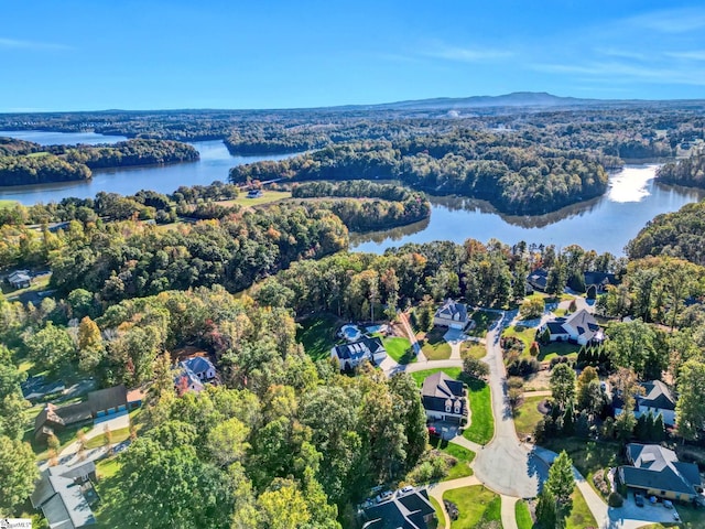 bird's eye view with a water view and a view of trees