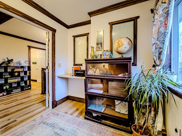 interior space featuring baseboards, wood finished floors, and crown molding