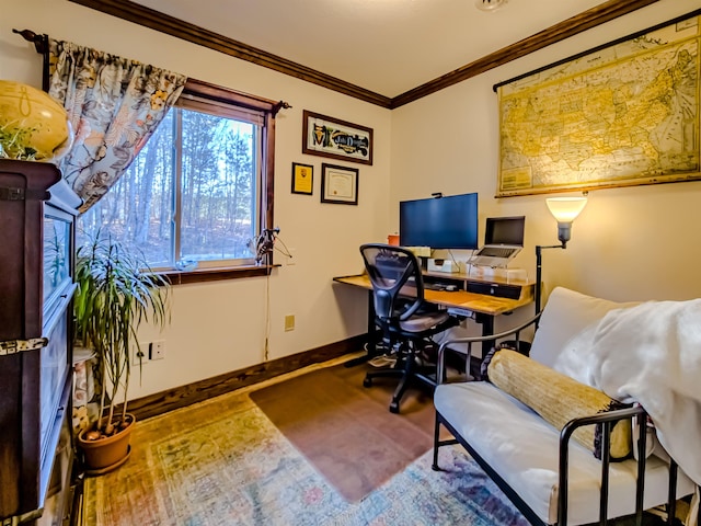 office space with crown molding and baseboards