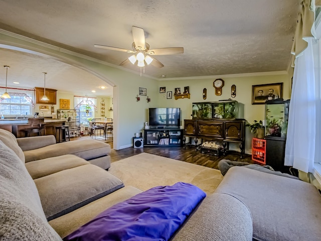 living room featuring ceiling fan, baseboards, arched walkways, ornamental molding, and wood finished floors