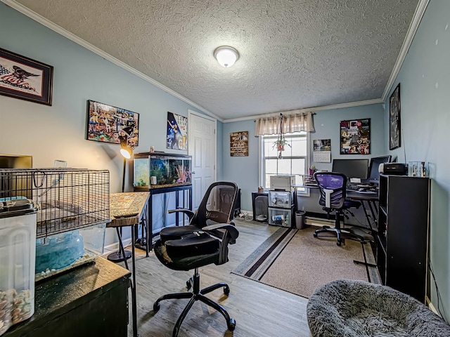 office with ornamental molding, a textured ceiling, and wood finished floors
